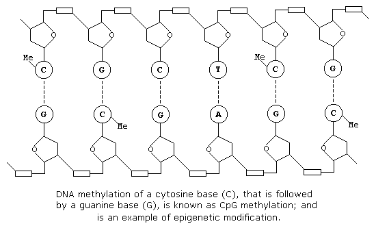 Line formula of 5-azacytidine
