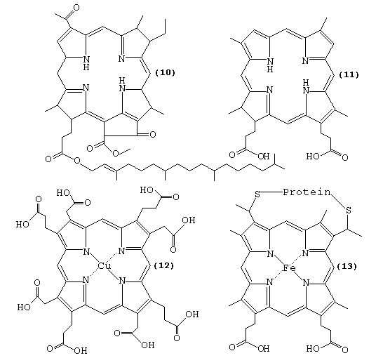 Line formulae of four porphyrins (10, 11, 12, and 13)