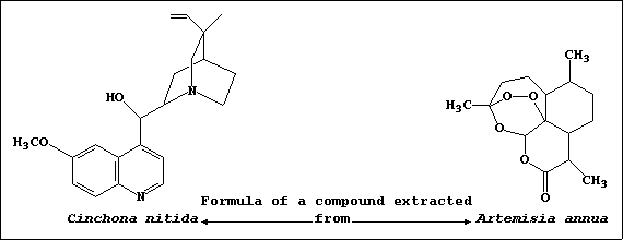 Line formula of one compound extracted from Cinchona nitida and one from Artemesia annua