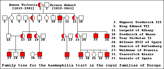 Family tree for the h(a)emophilia trait in the royal families of Europe
