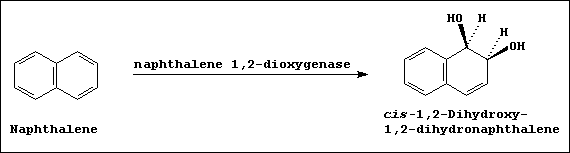 An equation summarizing the activity of naphthalene 1,2-dioxygenase